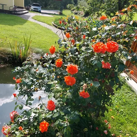 Greimblick * Sankt Peter am Kammersberg