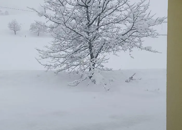 Greimblick Apartmán *